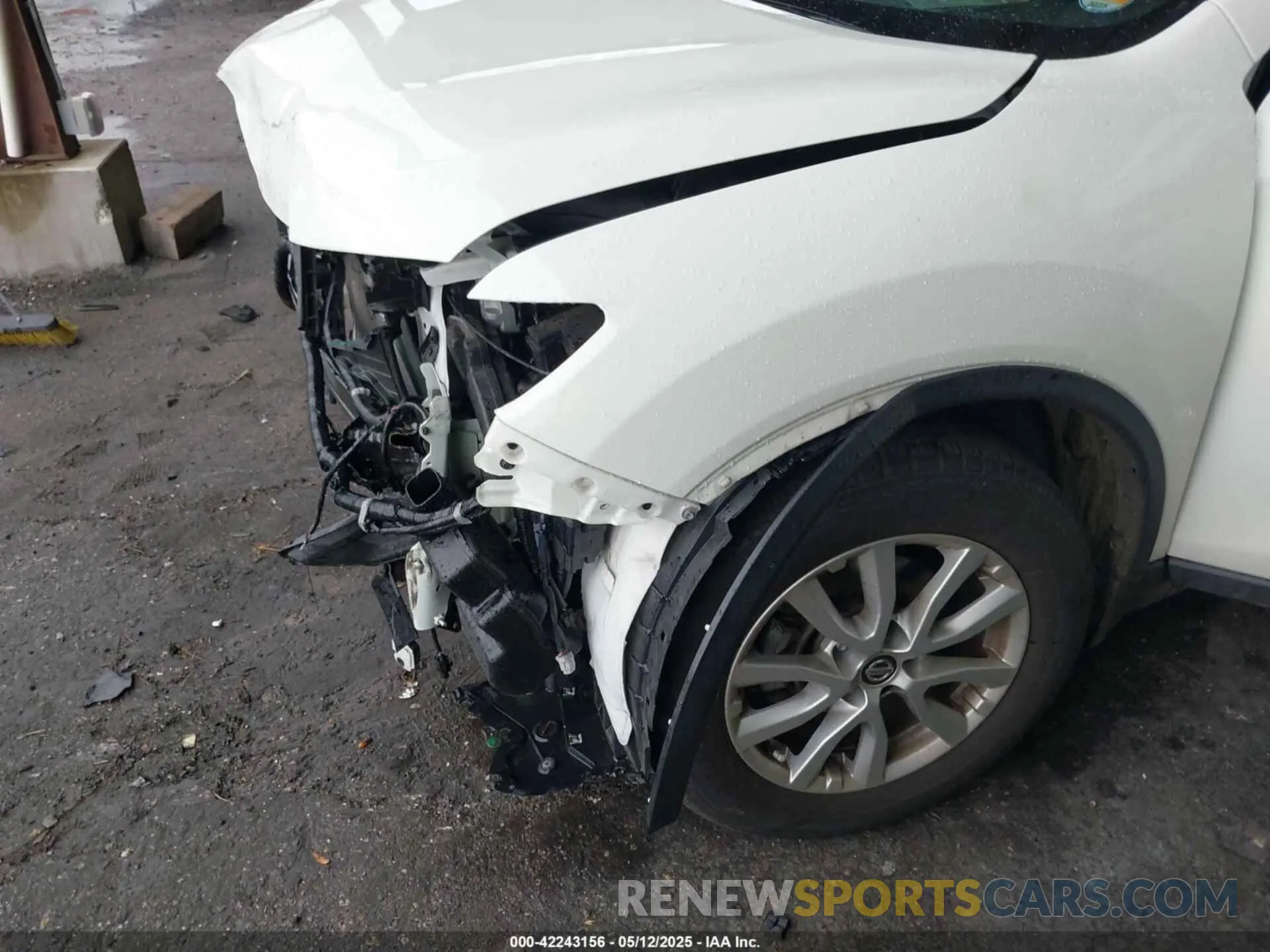6 fotografías del automóvil dañado 5N1AT2MT7KC844450 NISSAN ROGUE 2019