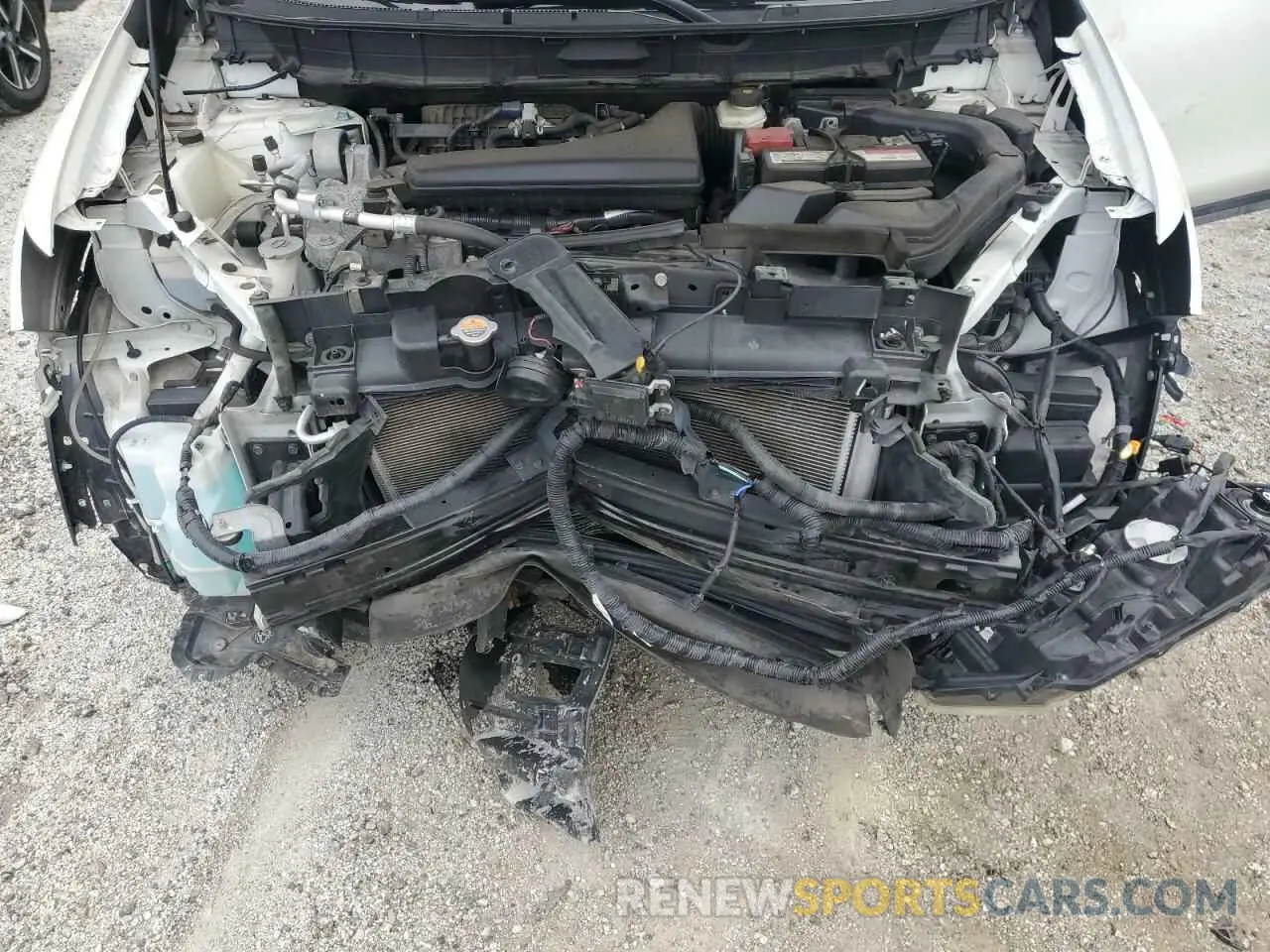 12 fotografías del automóvil dañado 5N1AT2MV3KC792803 NISSAN ROGUE 2019
