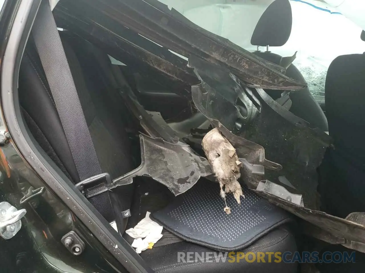 11 fotografías del automóvil dañado 5N1AT2MV4KC789683 NISSAN ROGUE 2019