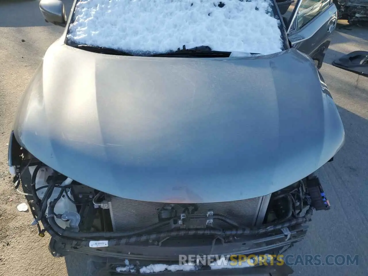 12 fotografías del automóvil dañado 5N1AT2MV4KC824805 NISSAN ROGUE 2019