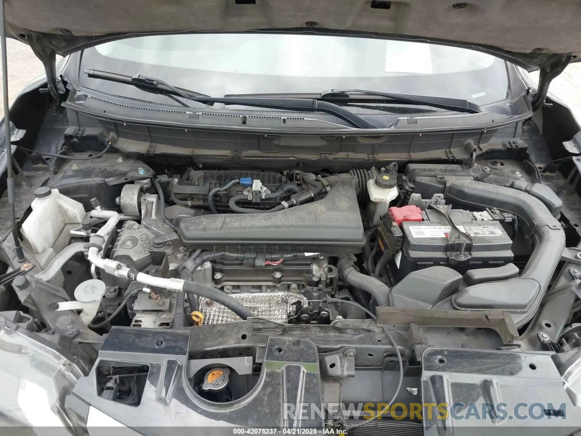10 fotografías del automóvil dañado 5N1AT2MVXKC842256 NISSAN ROGUE 2019