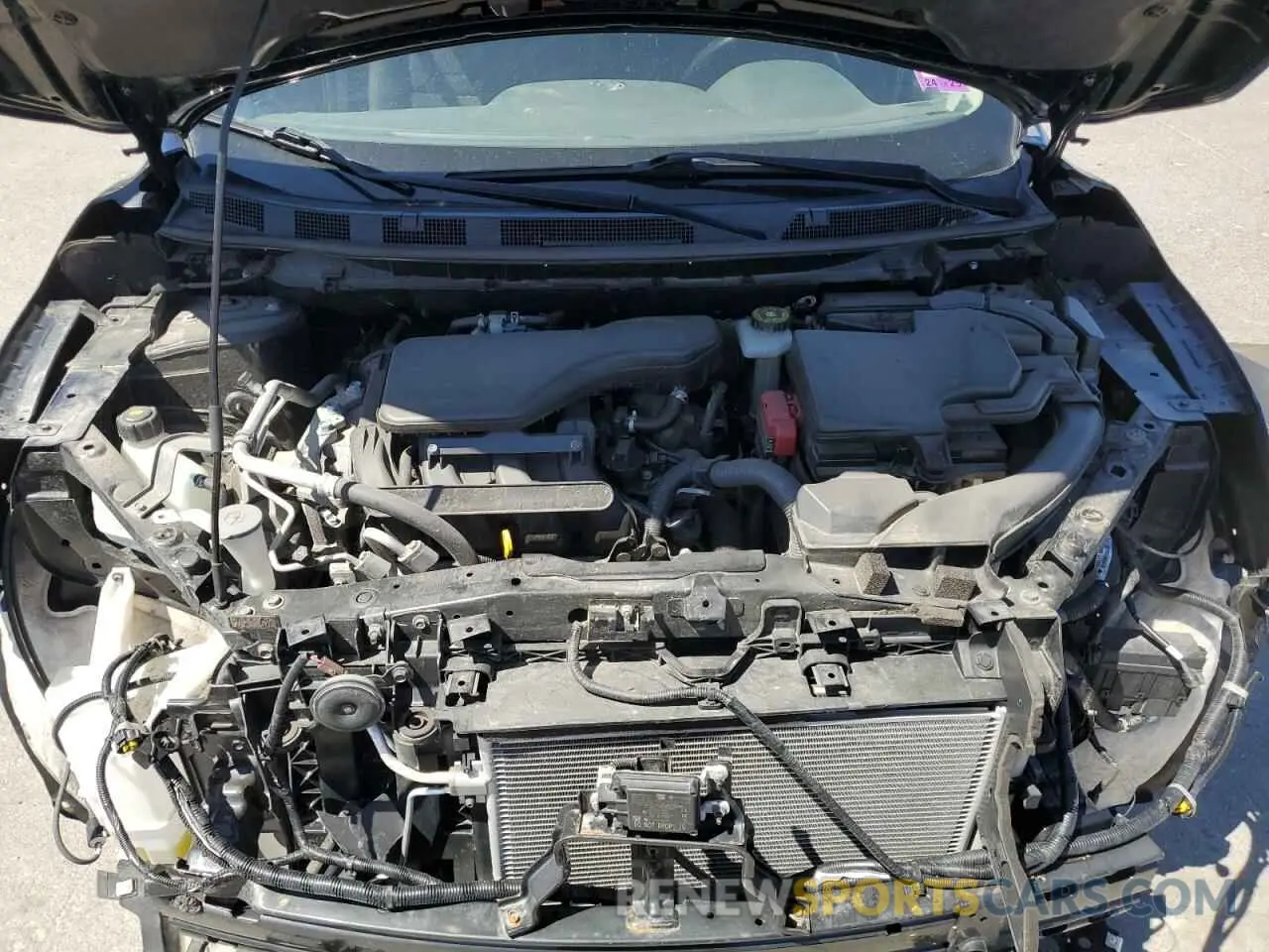 12 fotografías del automóvil dañado JN1BJ1CR5KW318026 NISSAN ROGUE 2019
