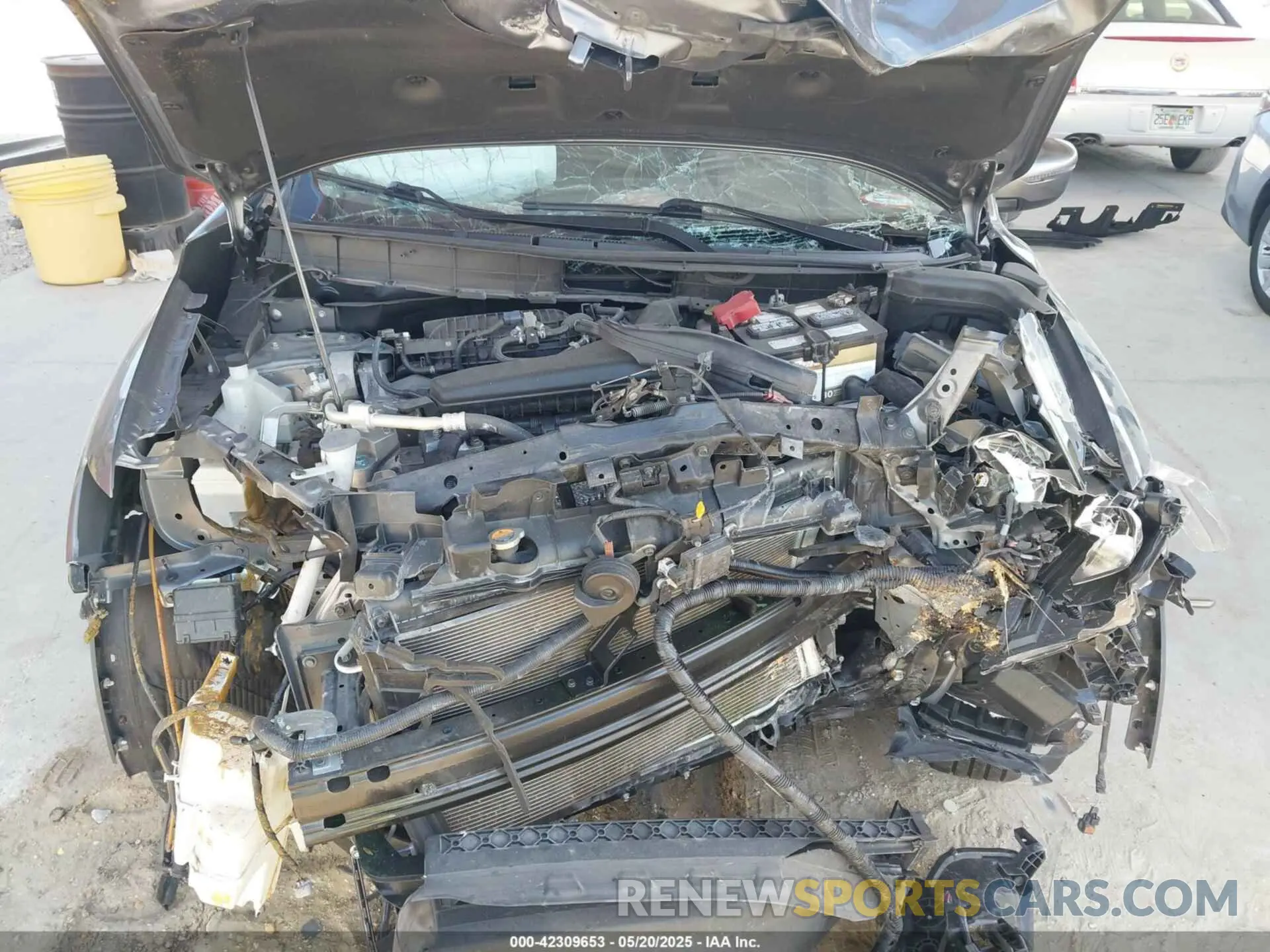 10 fotografías del automóvil dañado JN8AT2MT5KW252231 NISSAN ROGUE 2019