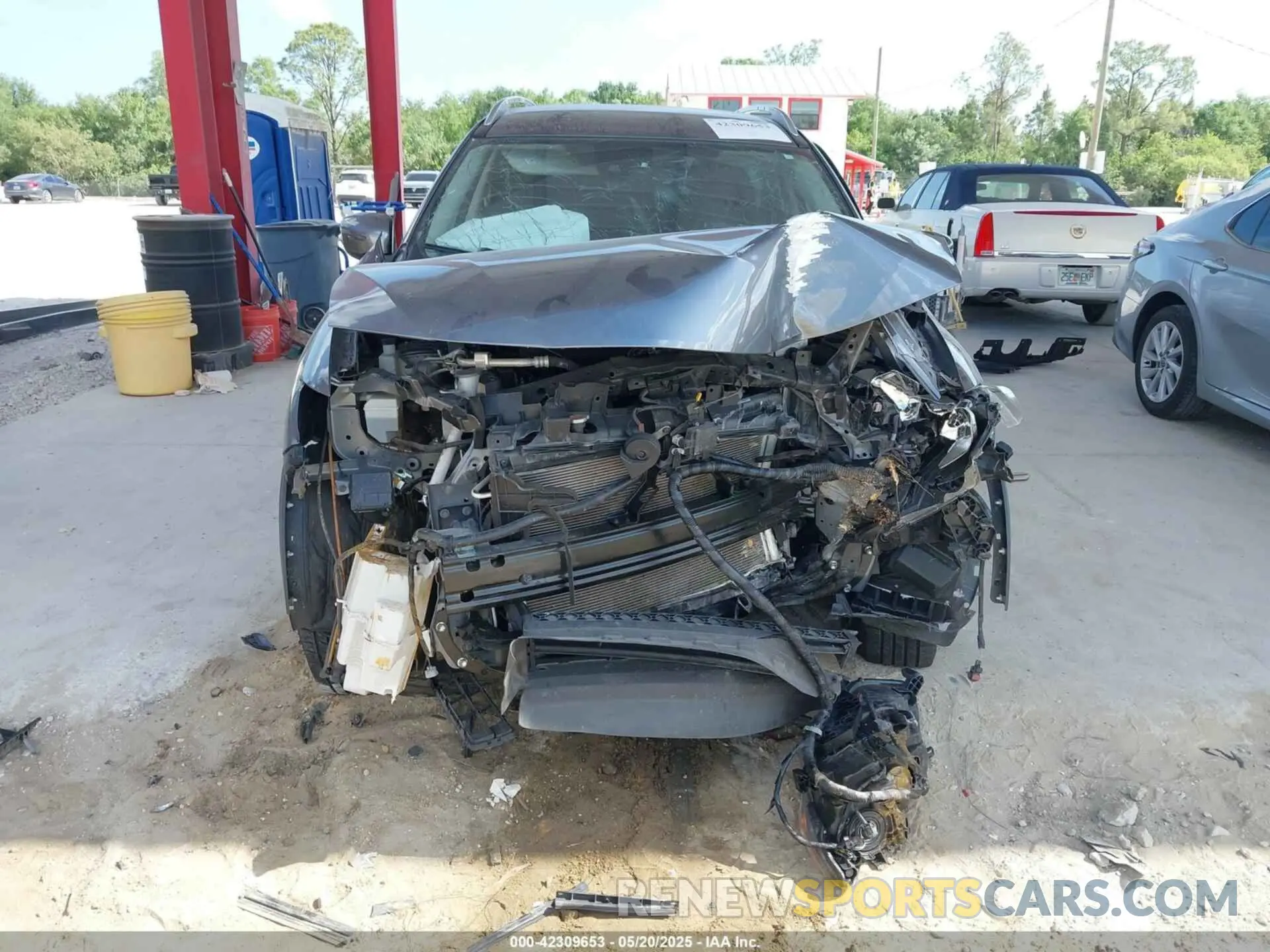 12 fotografías del automóvil dañado JN8AT2MT5KW252231 NISSAN ROGUE 2019