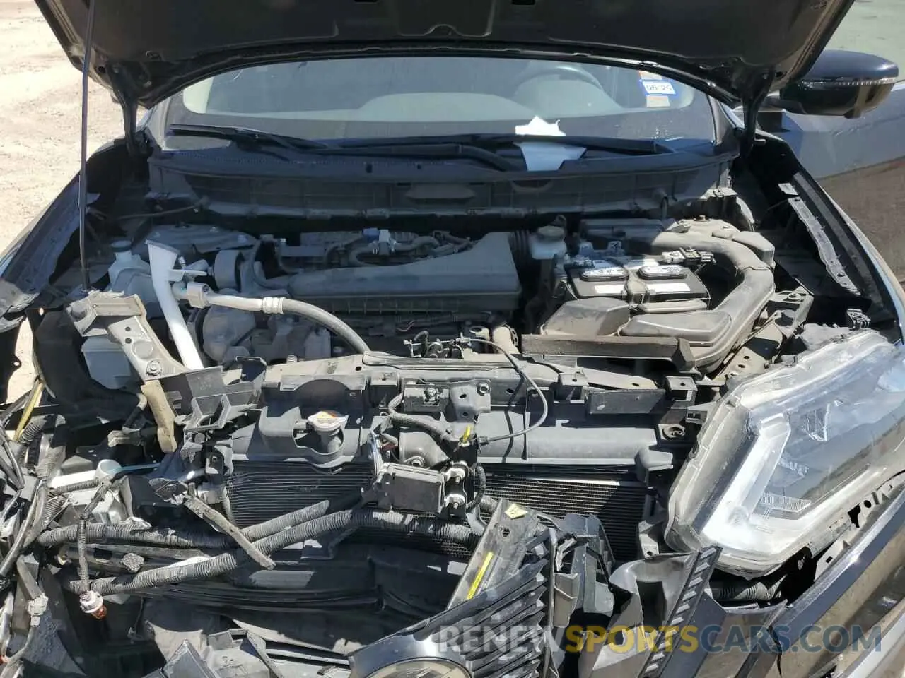 12 fotografías del automóvil dañado JN8AT2MV1KW395923 NISSAN ROGUE 2019