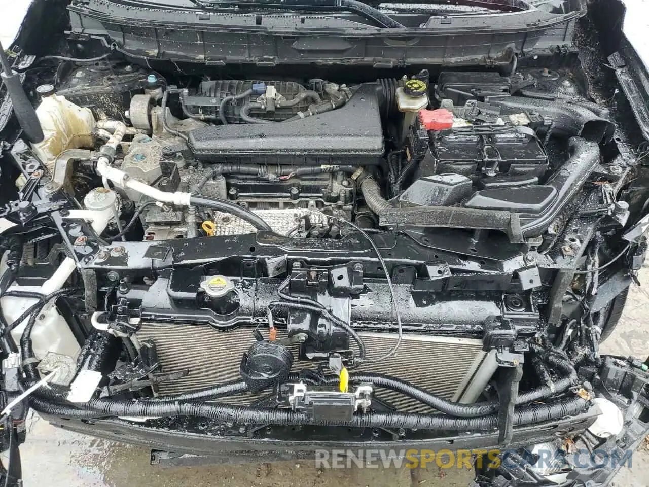 12 fotografías del automóvil dañado JN8AT2MV5KW377599 NISSAN ROGUE 2019