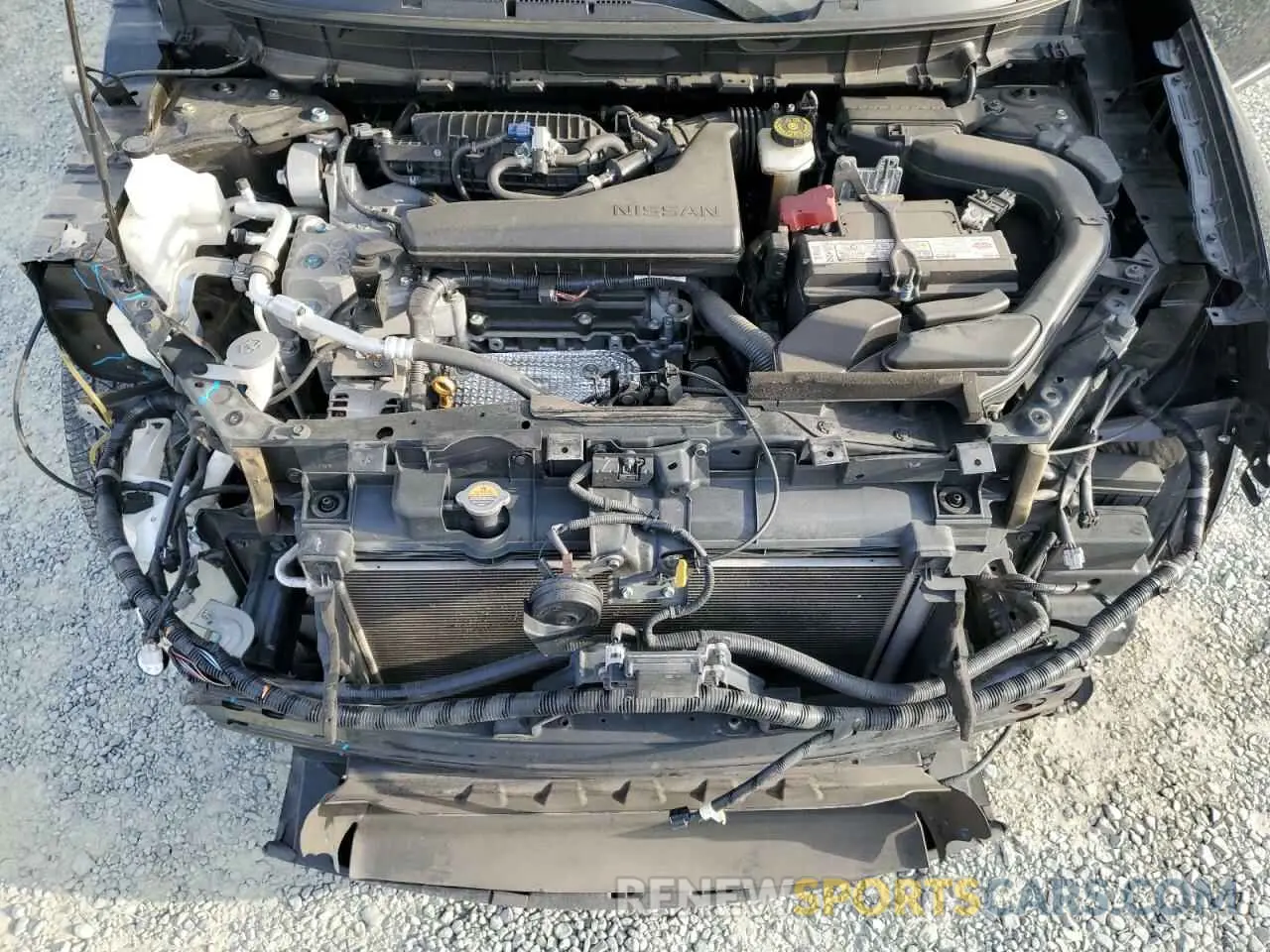 12 fotografías del automóvil dañado JN8AT2MV8KW399628 NISSAN ROGUE 2019