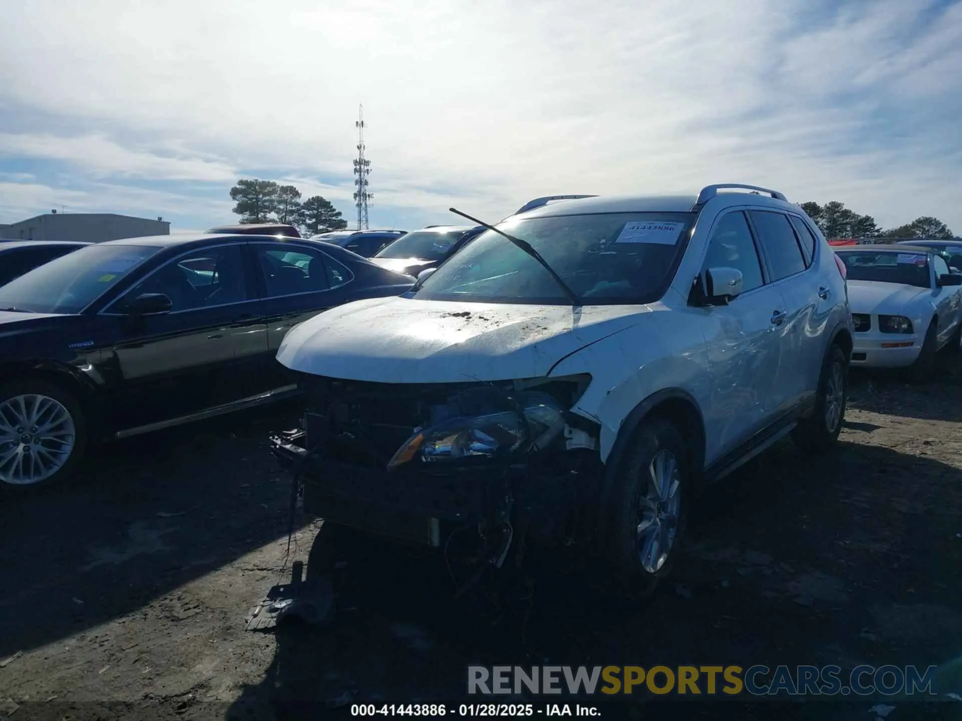 2 fotografías del automóvil dañado KNMAT2MT1KP543525 NISSAN ROGUE 2019