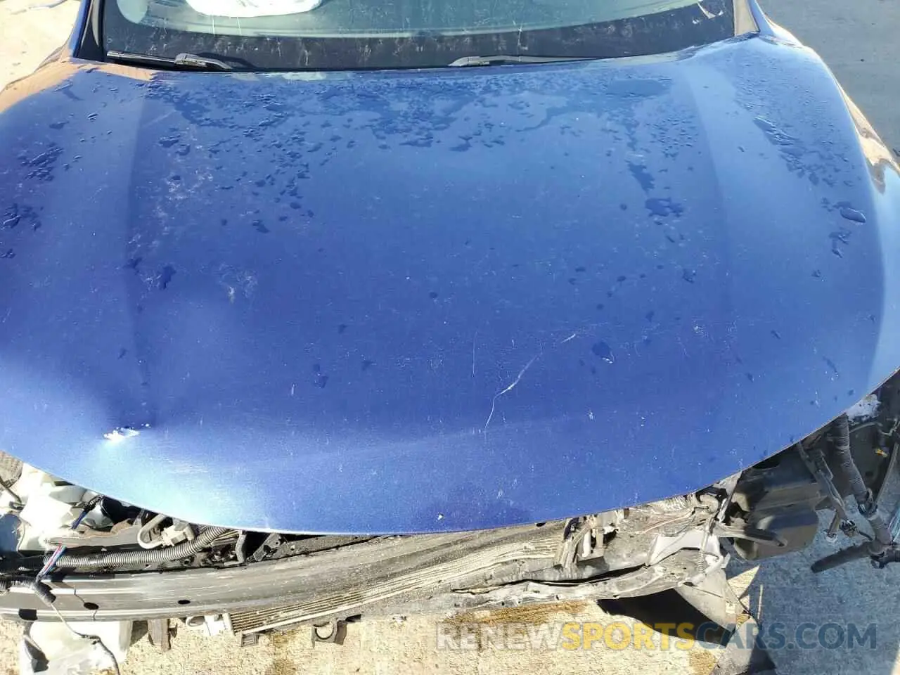 11 fotografías del automóvil dañado KNMAT2MT6KP512481 NISSAN ROGUE 2019