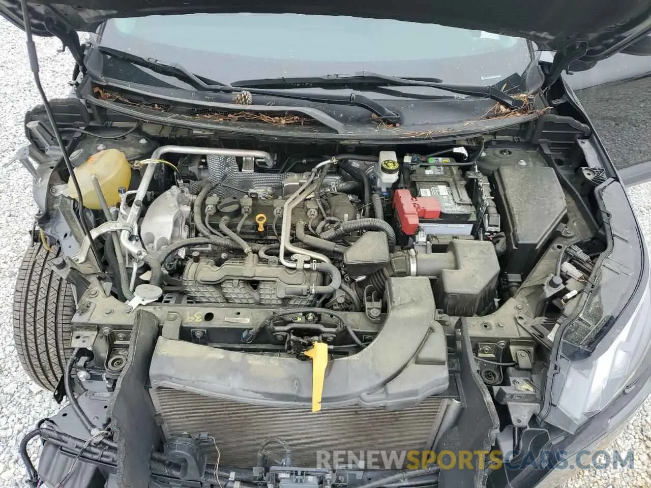 12 fotografías del automóvil dañado 5N1AT3AA8MC762366 NISSAN ROGUE 2021