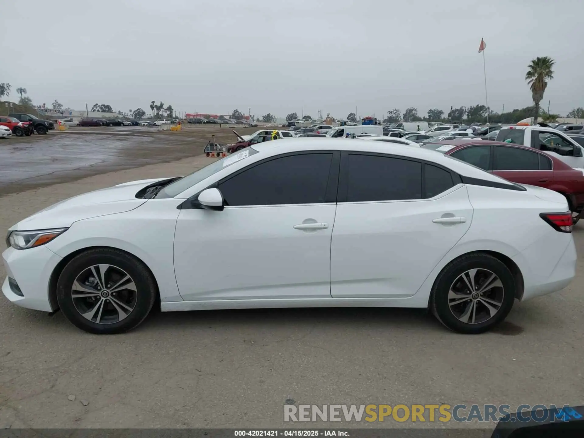 14 fotografías del automóvil dañado 3N1AB8CV6MY317316 NISSAN SENTRA 2021