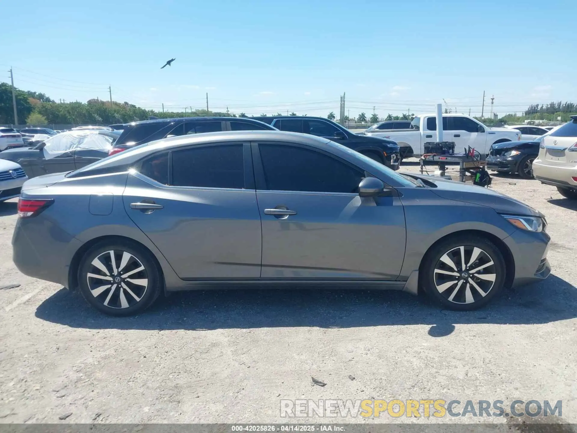 12 fotografías del automóvil dañado 3N1AB8CV8NY254964 NISSAN SENTRA 2022