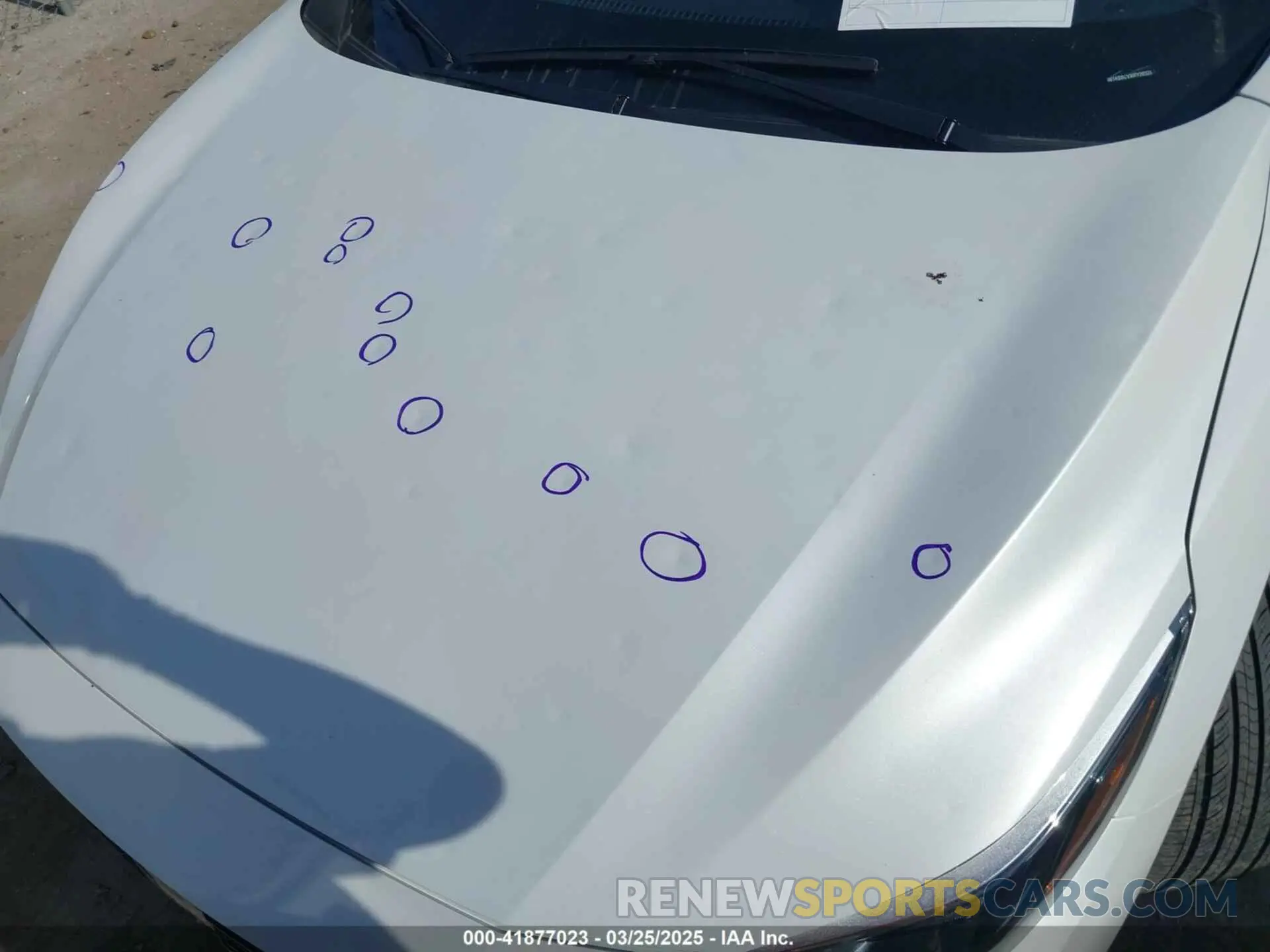 6 fotografías del automóvil dañado 3N1AB8CVXRY203293 NISSAN SENTRA 2024