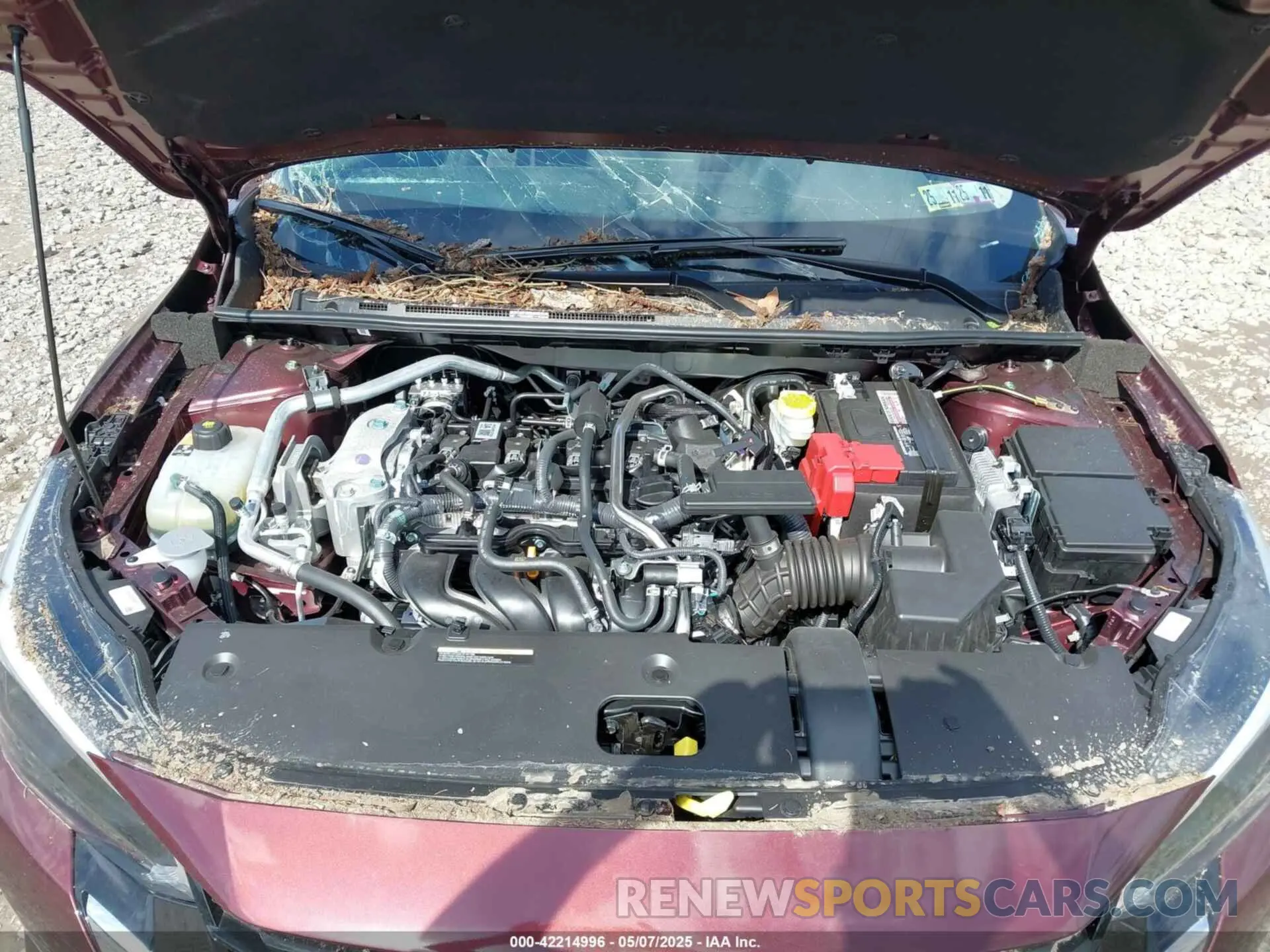 10 fotografías del automóvil dañado 3N1AB8CV4SY243505 NISSAN SENTRA 2025