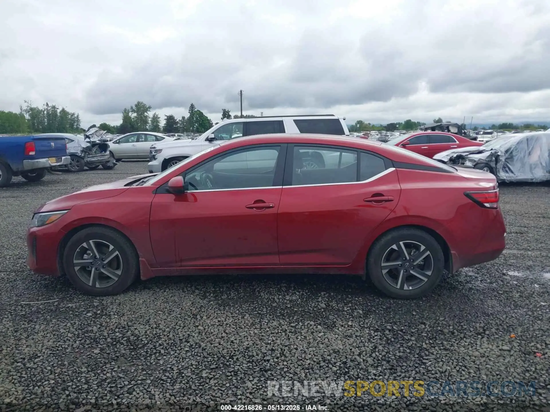14 fotografías del automóvil dañado 3N1AB8CV6SY237978 NISSAN SENTRA 2025