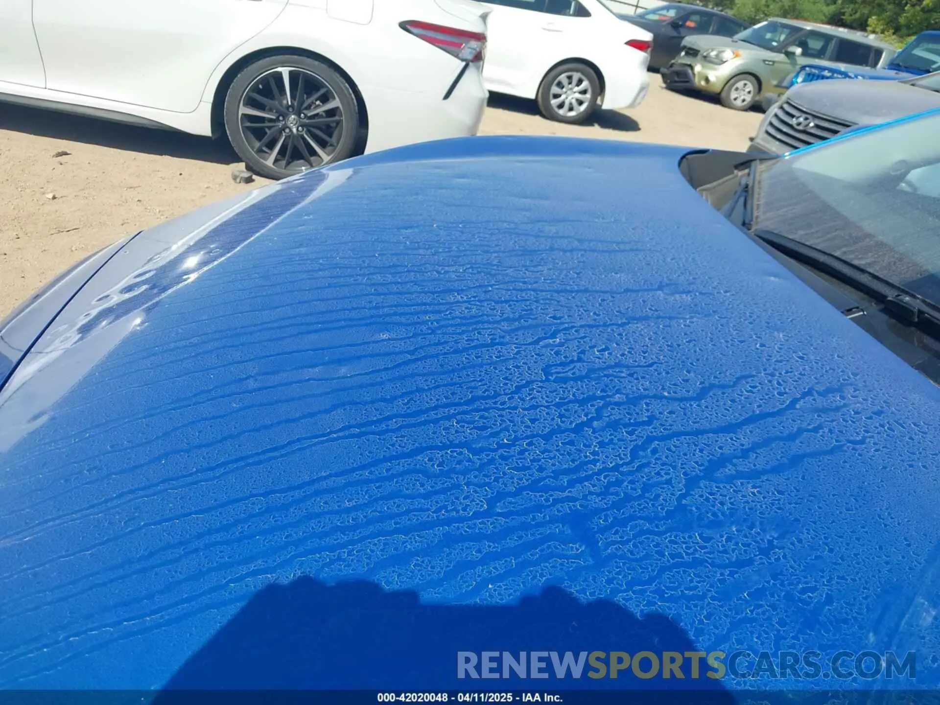 6 fotografías del automóvil dañado 3N1AB8CV7SY276515 NISSAN SENTRA 2025