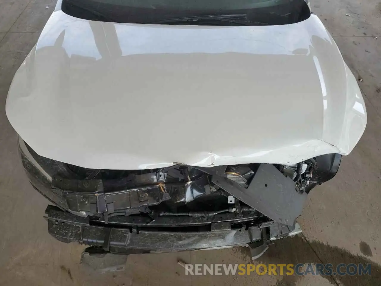 11 fotografías del automóvil dañado 3N1AB8CVXSY274600 NISSAN SENTRA 2025