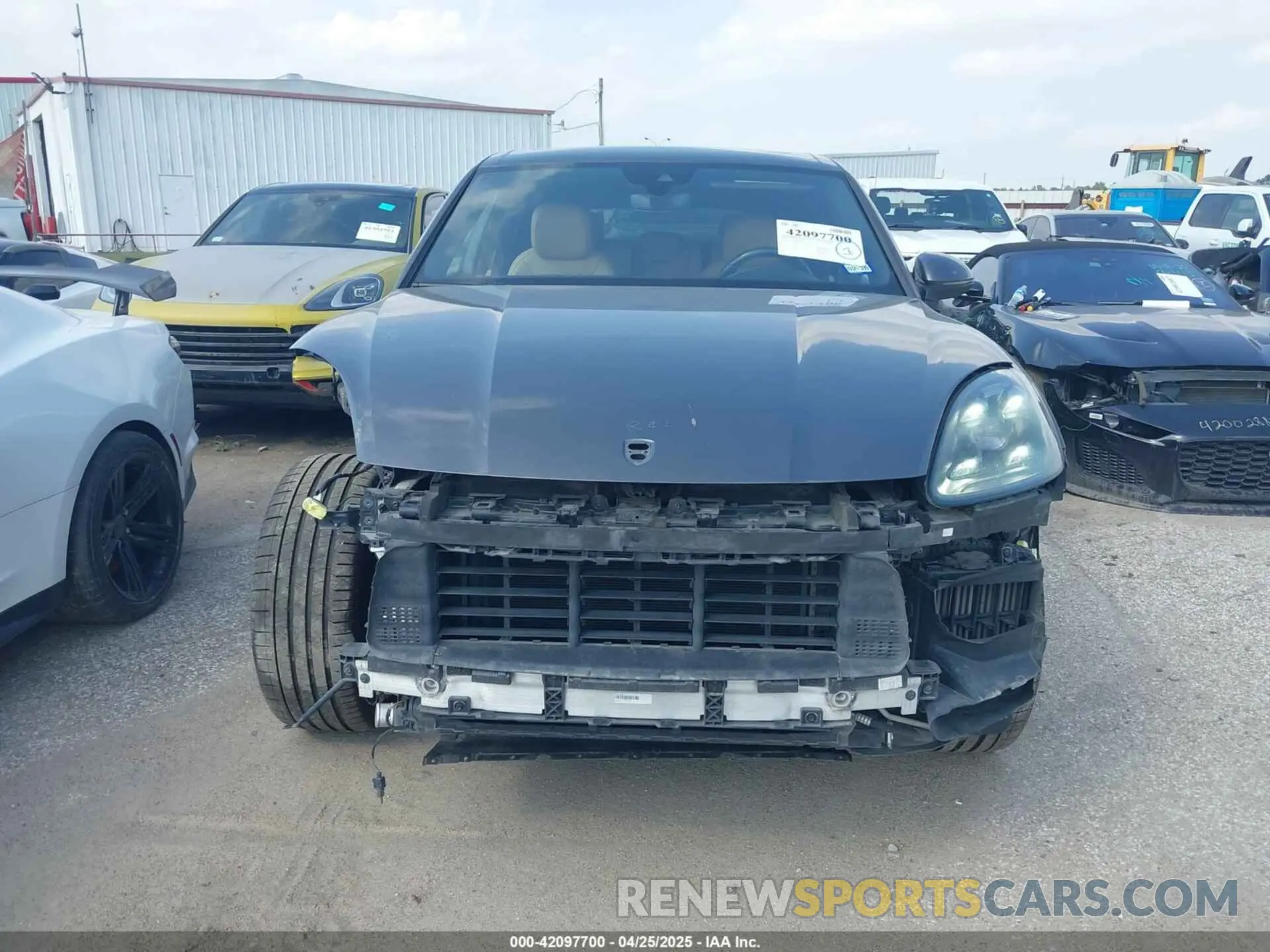 13 fotografías del automóvil dañado WP1AA2AY1KDA15473 PORSCHE CAYENNE 2019