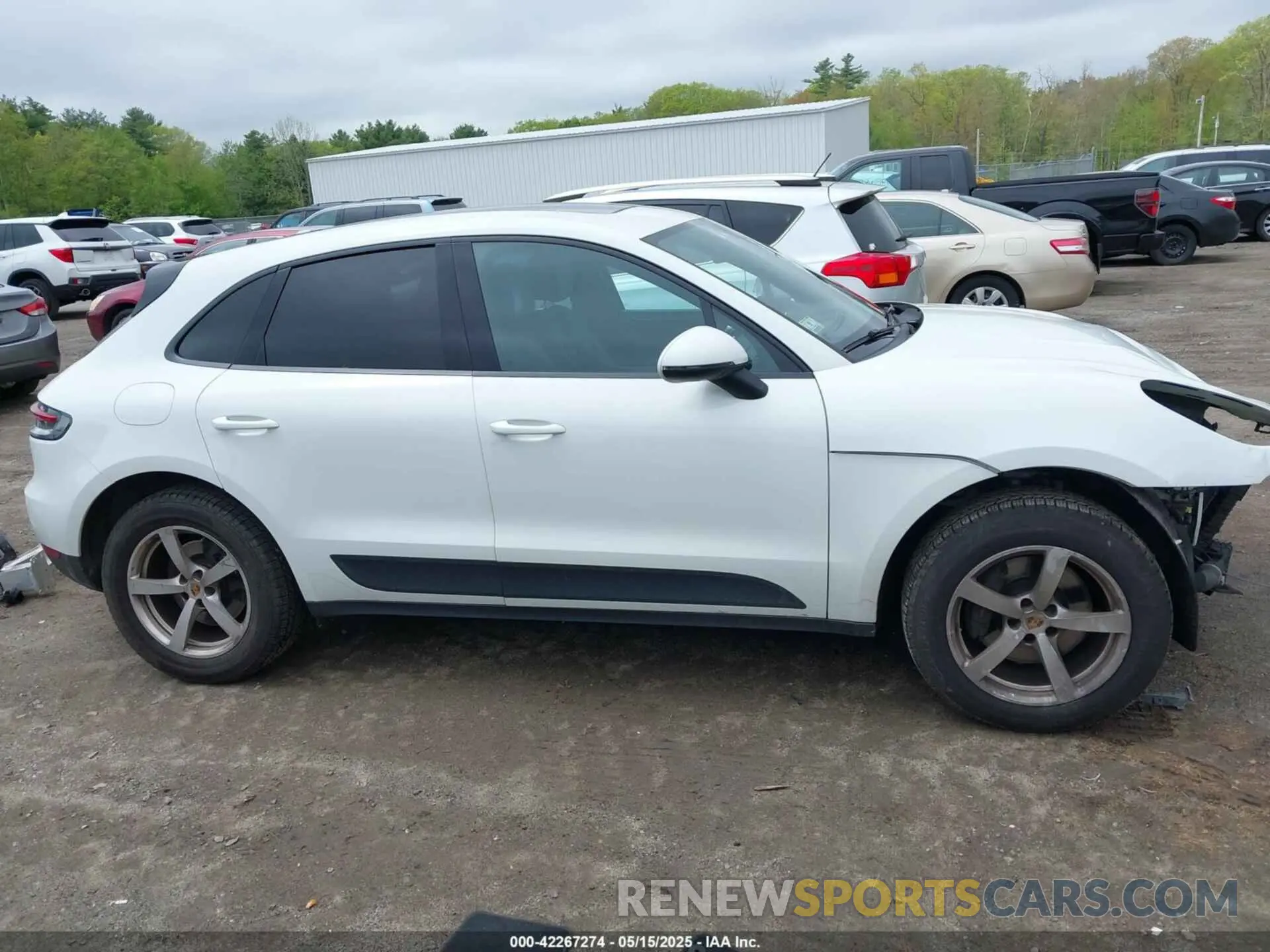 14 fotografías del automóvil dañado WP1AA2A56LLB10625 PORSCHE MACAN 2020