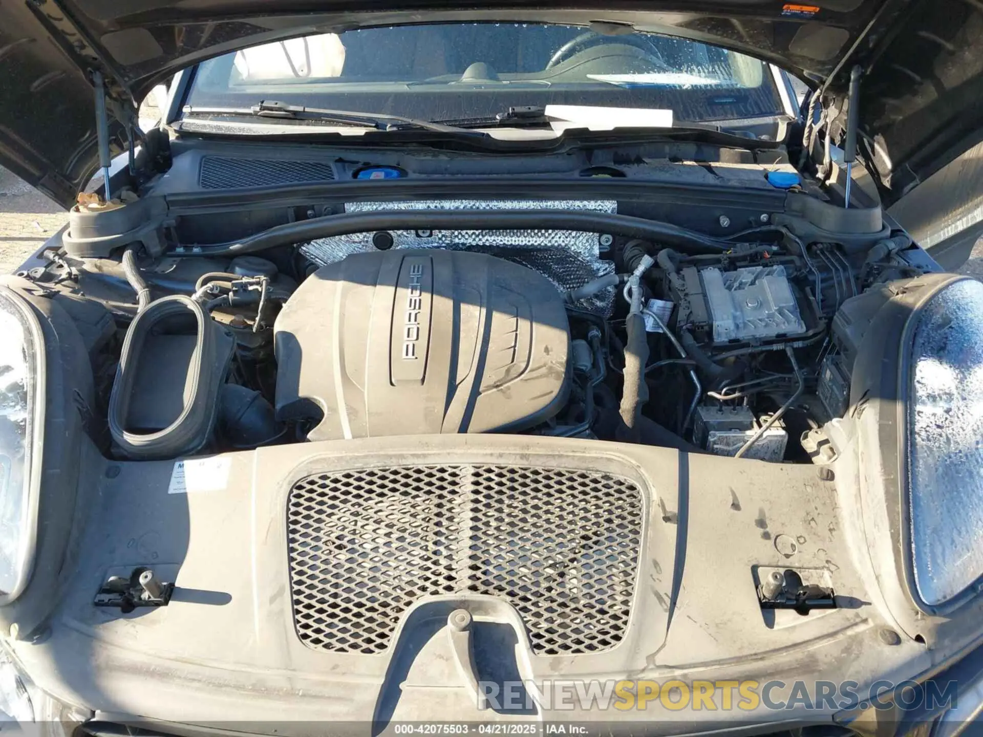 10 fotografías del automóvil dañado WP1AA2A52MLB09795 PORSCHE MACAN 2021