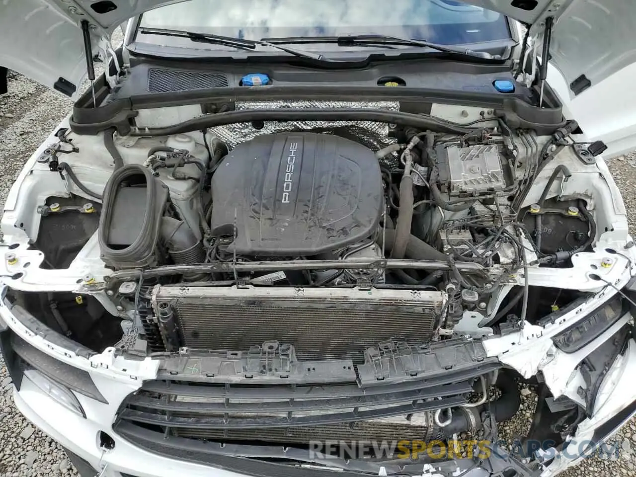 12 fotografías del automóvil dañado WP1AA2A54MLB10964 PORSCHE MACAN 2021