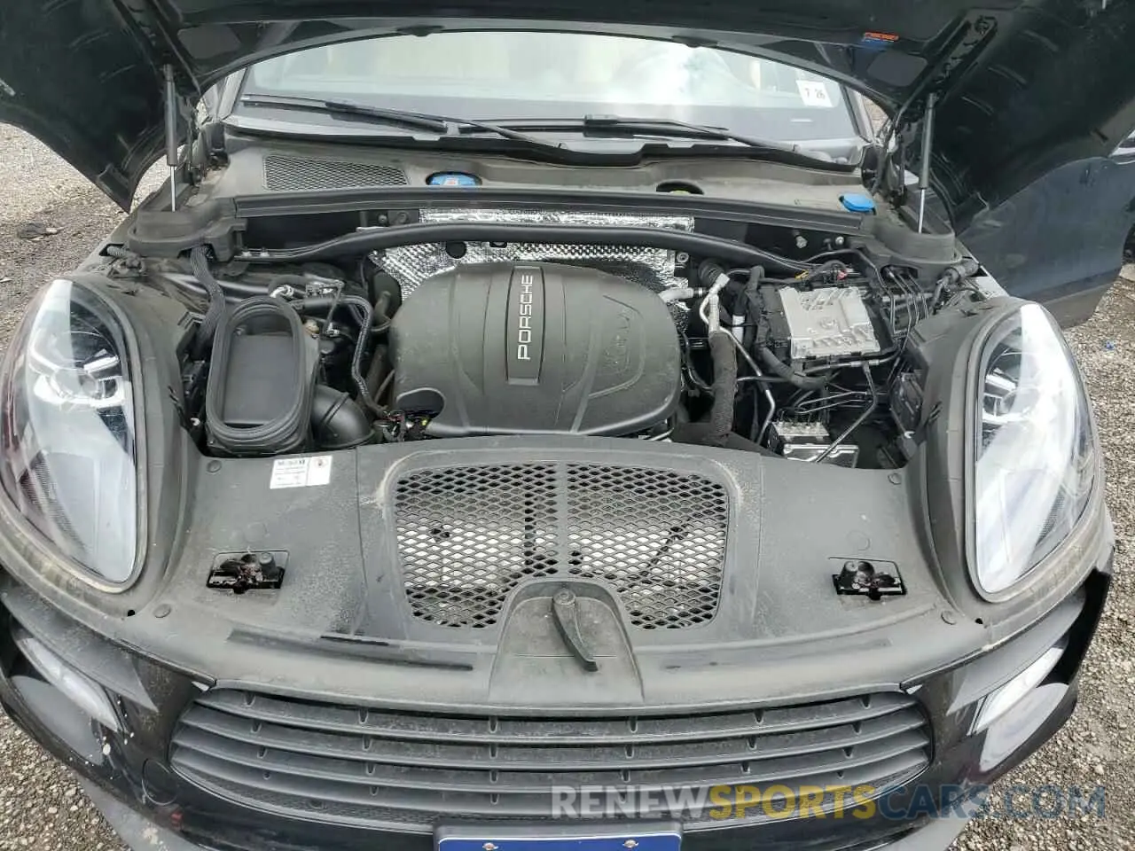 12 fotografías del automóvil dañado WP1AA2A55MLB09628 PORSCHE MACAN 2021