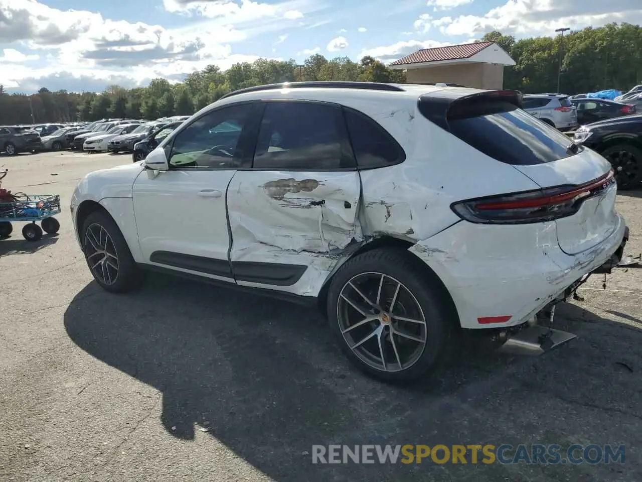 2 fotografías del automóvil dañado WP1AA2A51RLB20276 PORSCHE MACAN BASE 2024