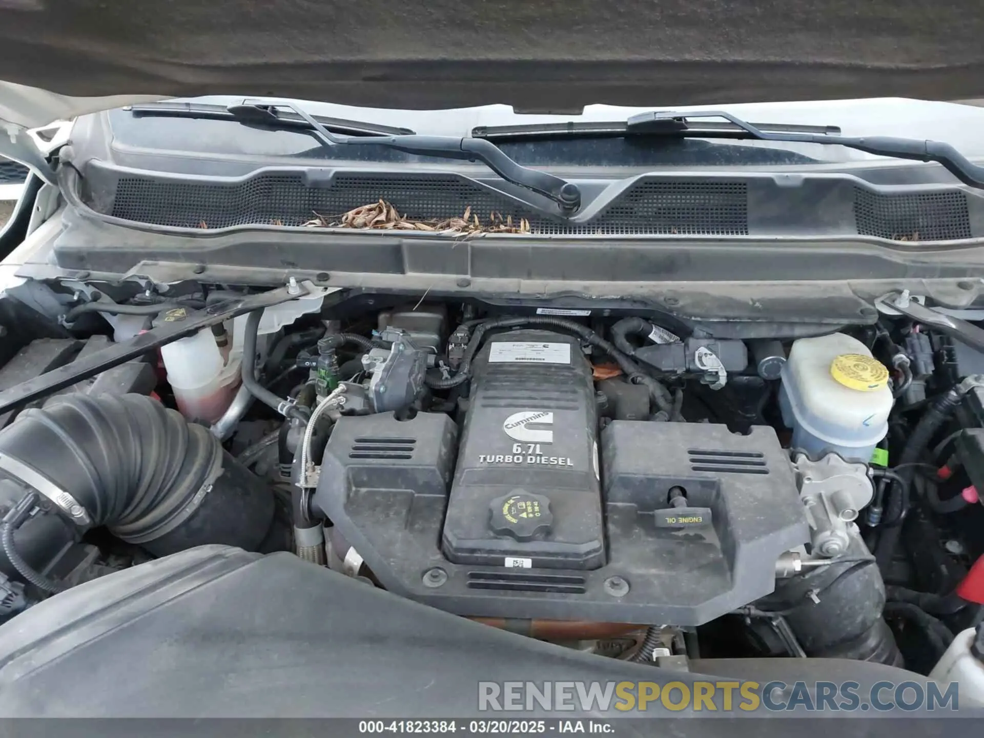 10 fotografías del automóvil dañado 3C63RRRL5MG646096 RAM 3500 2021