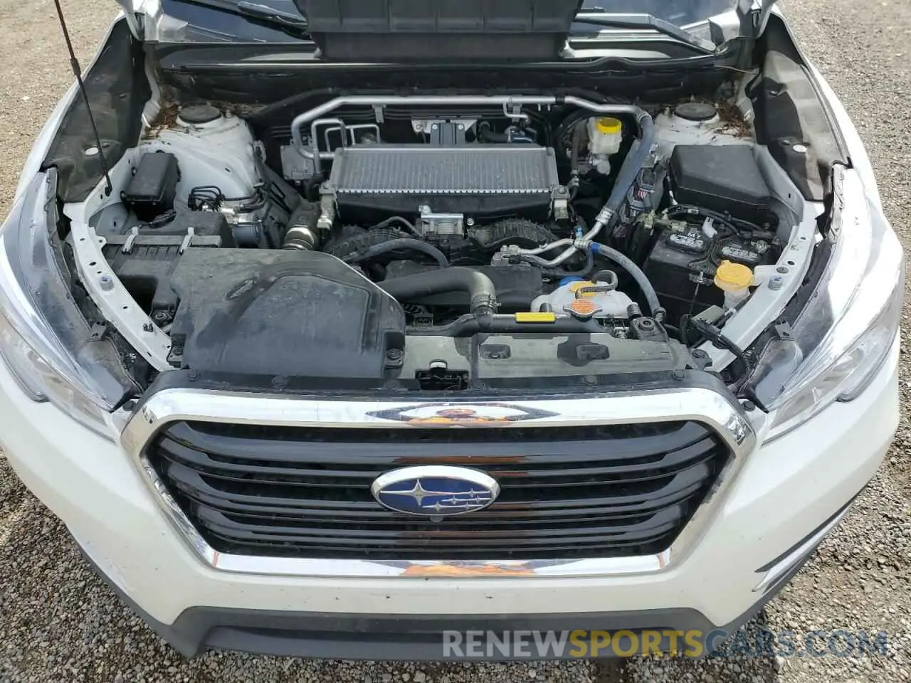 14 fotografías del automóvil dañado 4S4WMARD0N3465261 SUBARU ASCENT 2022