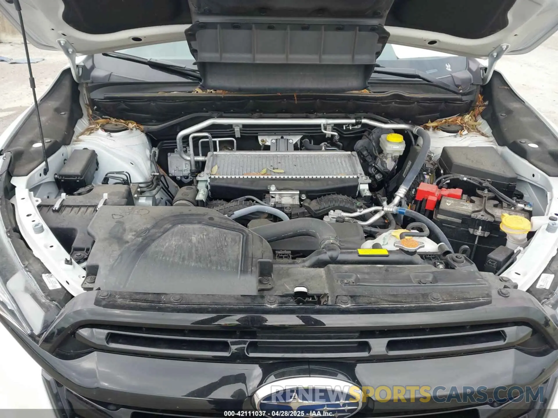 10 fotografías del automóvil dañado 4S4WMAHD8R3419734 SUBARU ASCENT 2024