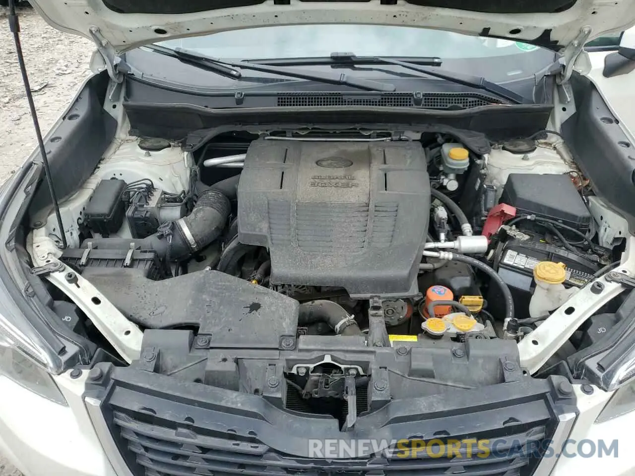 12 fotografías del automóvil dañado JF2SKAECXKH487418 SUBARU FORESTER 2019