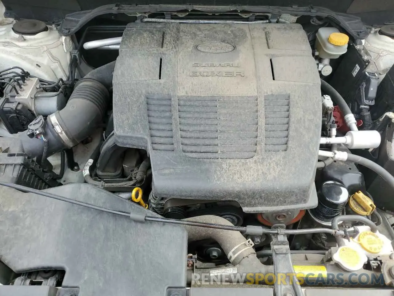 11 fotografías del automóvil dañado JF2SKAGC9KH429054 SUBARU FORESTER 2019