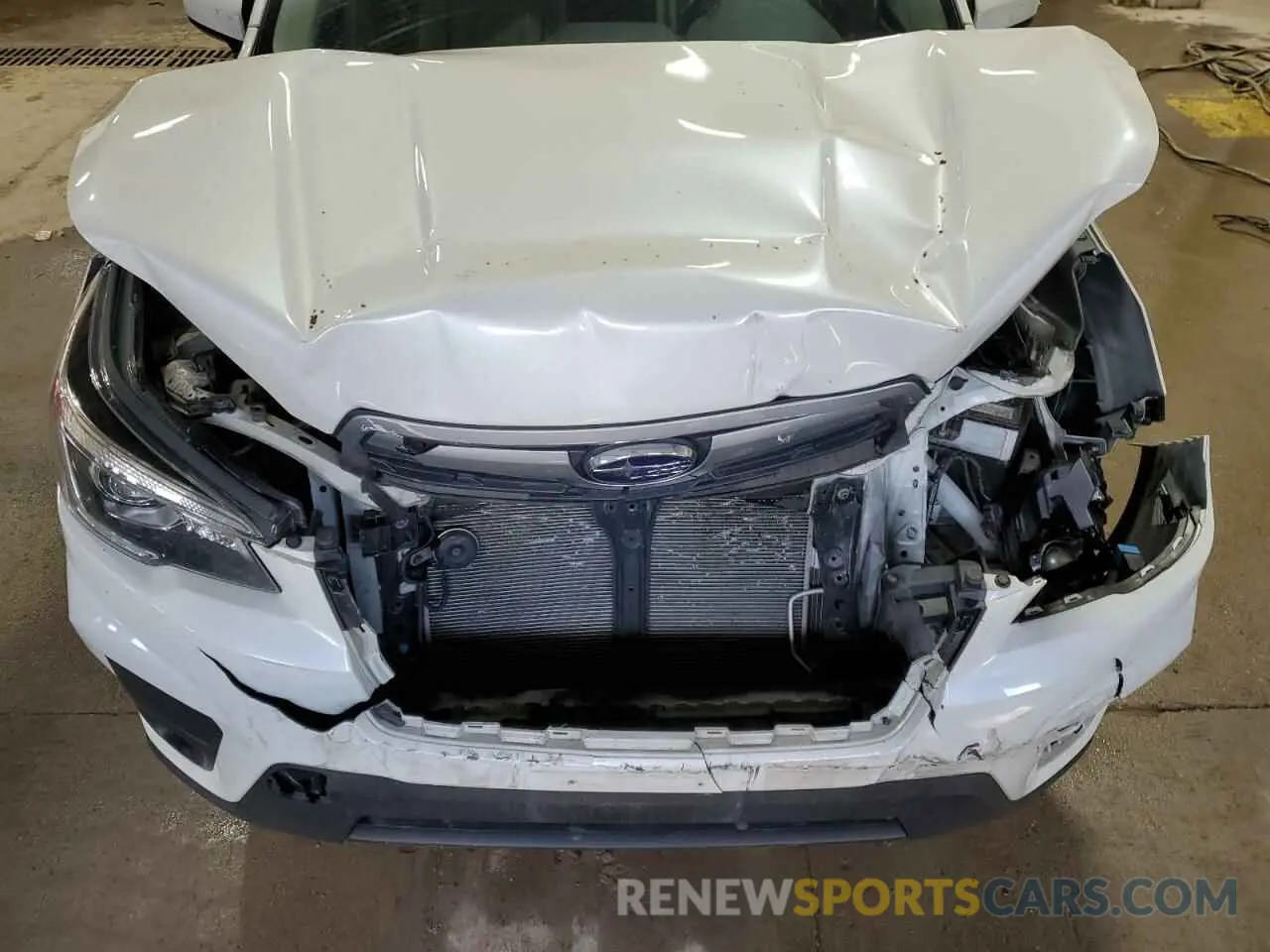 12 fotografías del automóvil dañado JF2SKAGC9KH441348 SUBARU FORESTER 2019
