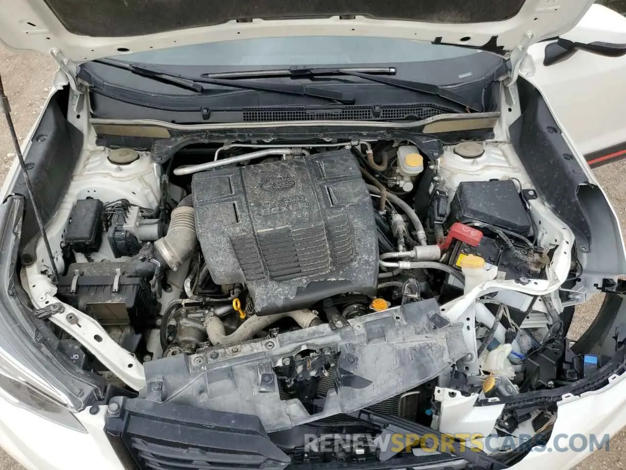 12 fotografías del automóvil dañado JF2SKAPC8KH512880 SUBARU FORESTER 2019