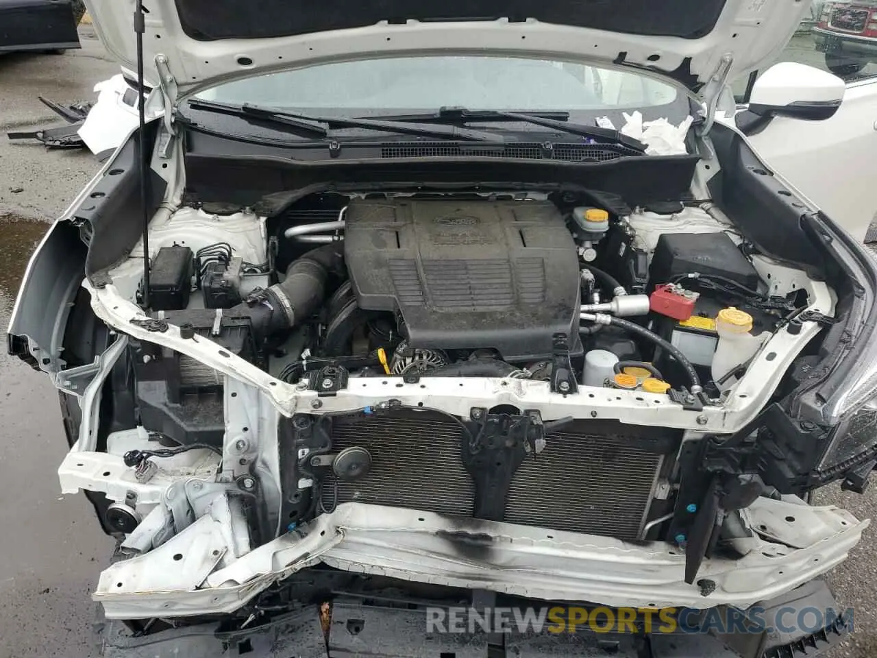 12 fotografías del automóvil dañado JF2SKASC0KH487657 SUBARU FORESTER 2019