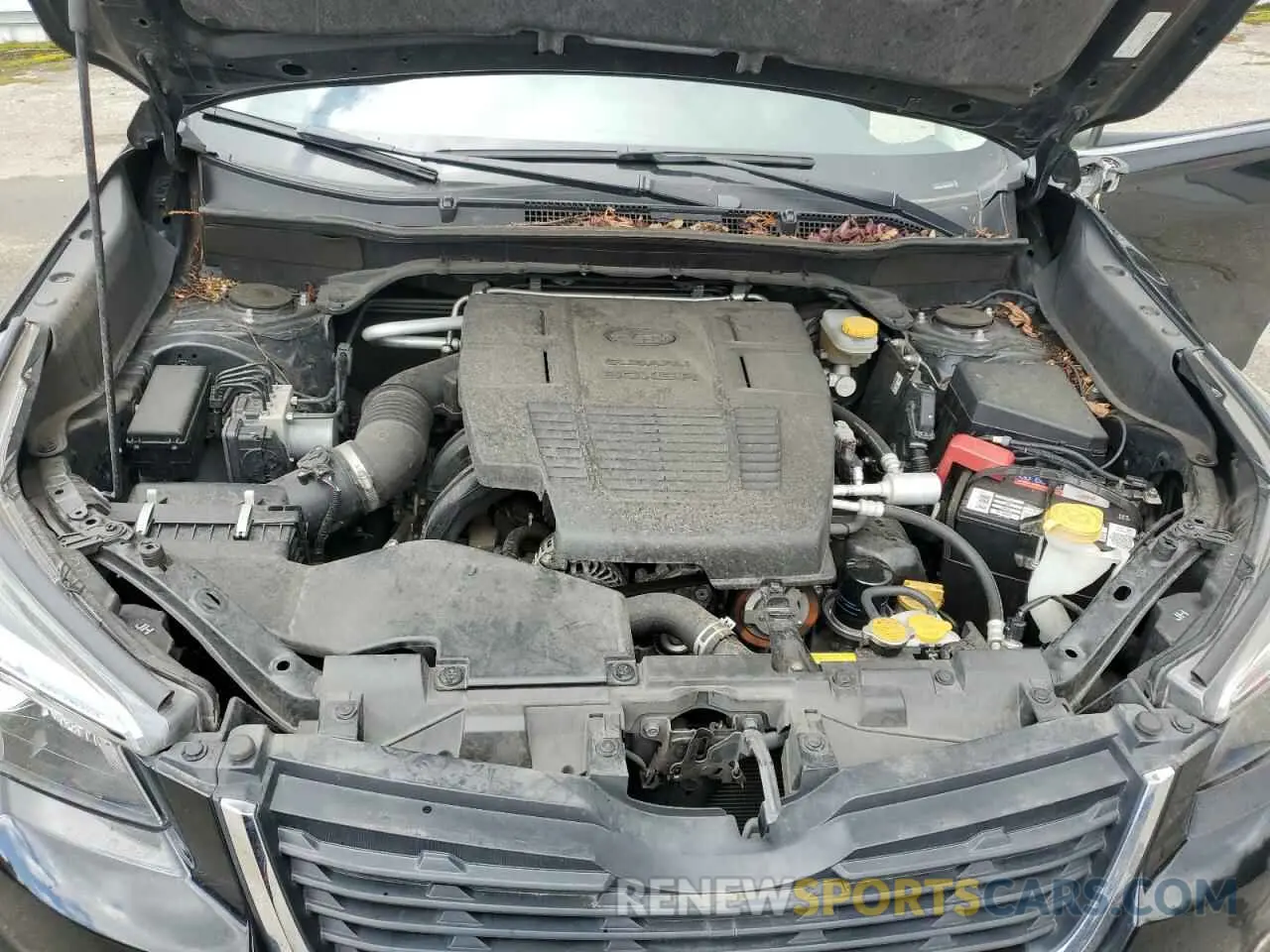 12 fotografías del automóvil dañado JF2SKAUC0KH484335 SUBARU FORESTER 2019