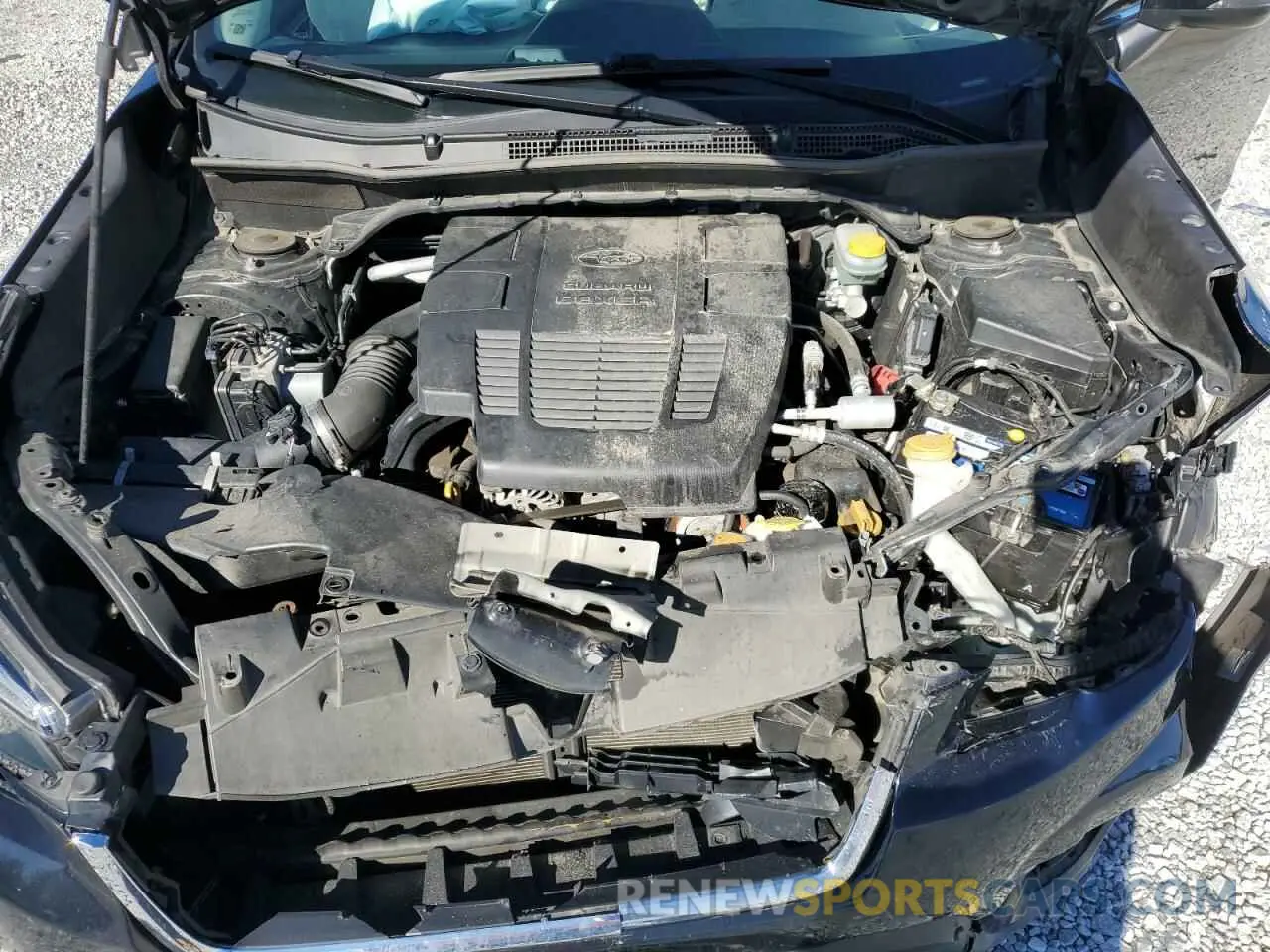 12 fotografías del automóvil dañado JF2SKAUC1KH456849 SUBARU FORESTER 2019