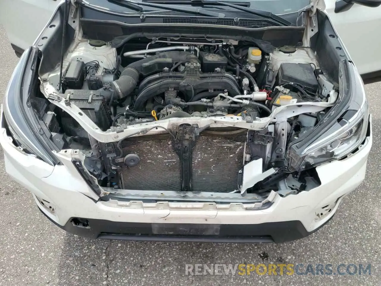 12 fotografías del automóvil dañado JF2SKAUC8KH478671 SUBARU FORESTER 2019