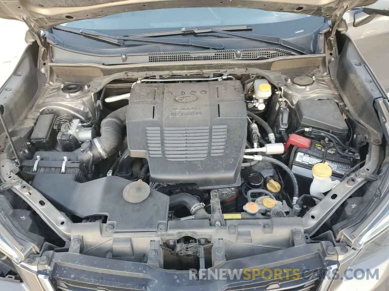 13 fotografías del automóvil dañado JF2SKAWC6KH546687 SUBARU FORESTER 2019