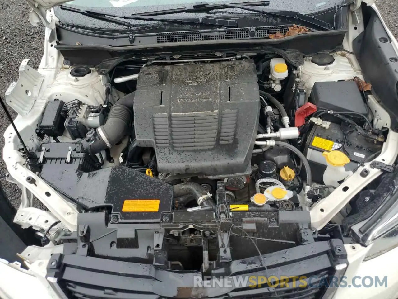11 fotografías del automóvil dañado JF2SKAJC3MH591130 SUBARU FORESTER 2021