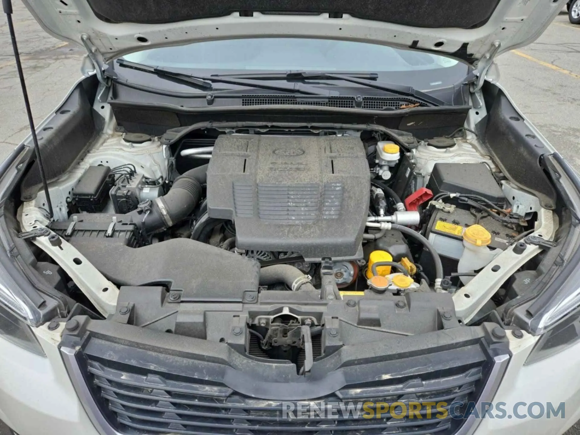 6 fotografías del automóvil dañado JF2SKAJC8MH589339 SUBARU FORESTER 2021