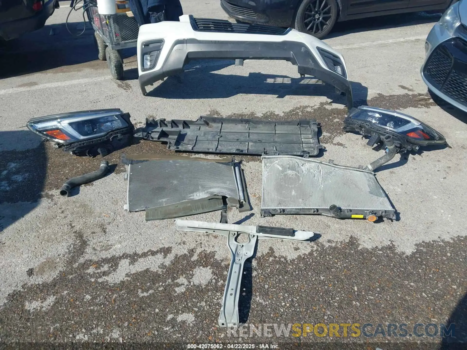 12 fotografías del automóvil dañado JF2SKARC3MH466651 SUBARU FORESTER 2021