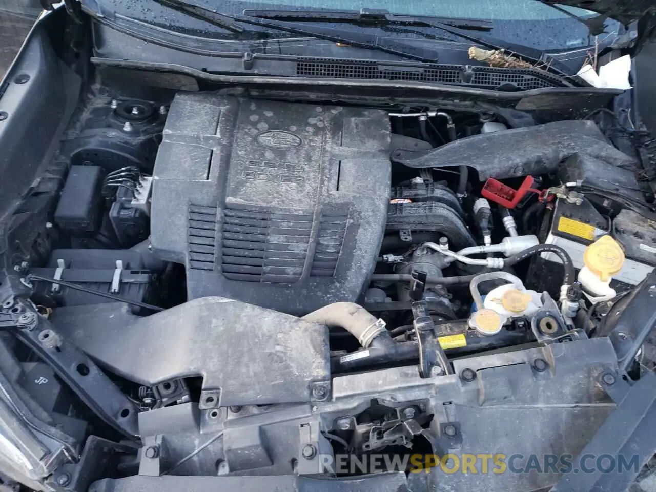 11 fotografías del automóvil dañado JF2SKARC3MH565602 SUBARU FORESTER 2021