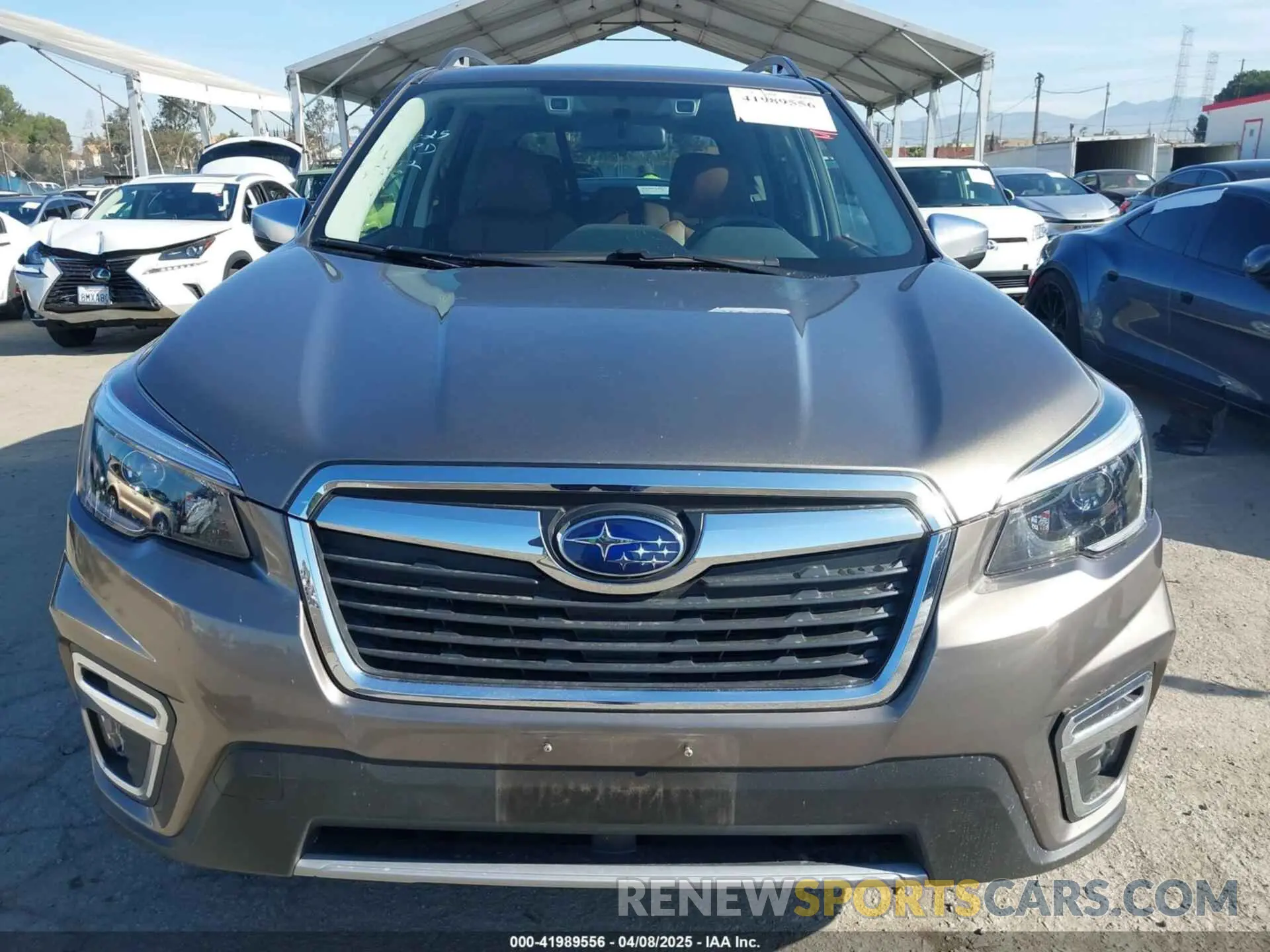 12 fotografías del automóvil dañado JF2SKAXC9MH590247 SUBARU FORESTER 2021
