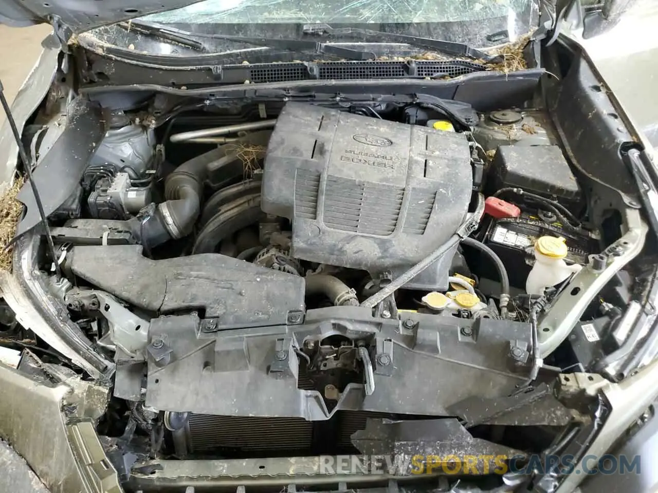 13 fotografías del automóvil dañado JF2SKAMC9NH506045 SUBARU FORESTER 2022