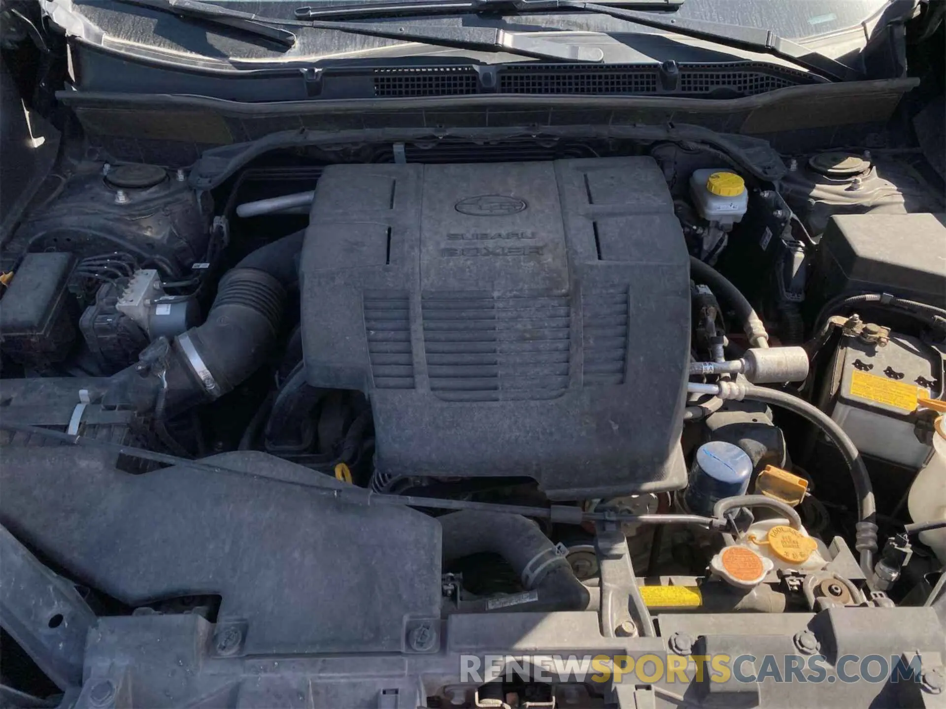 8 fotografías del automóvil dañado JF2SKAEC8PH425765 SUBARU FORESTER 2023