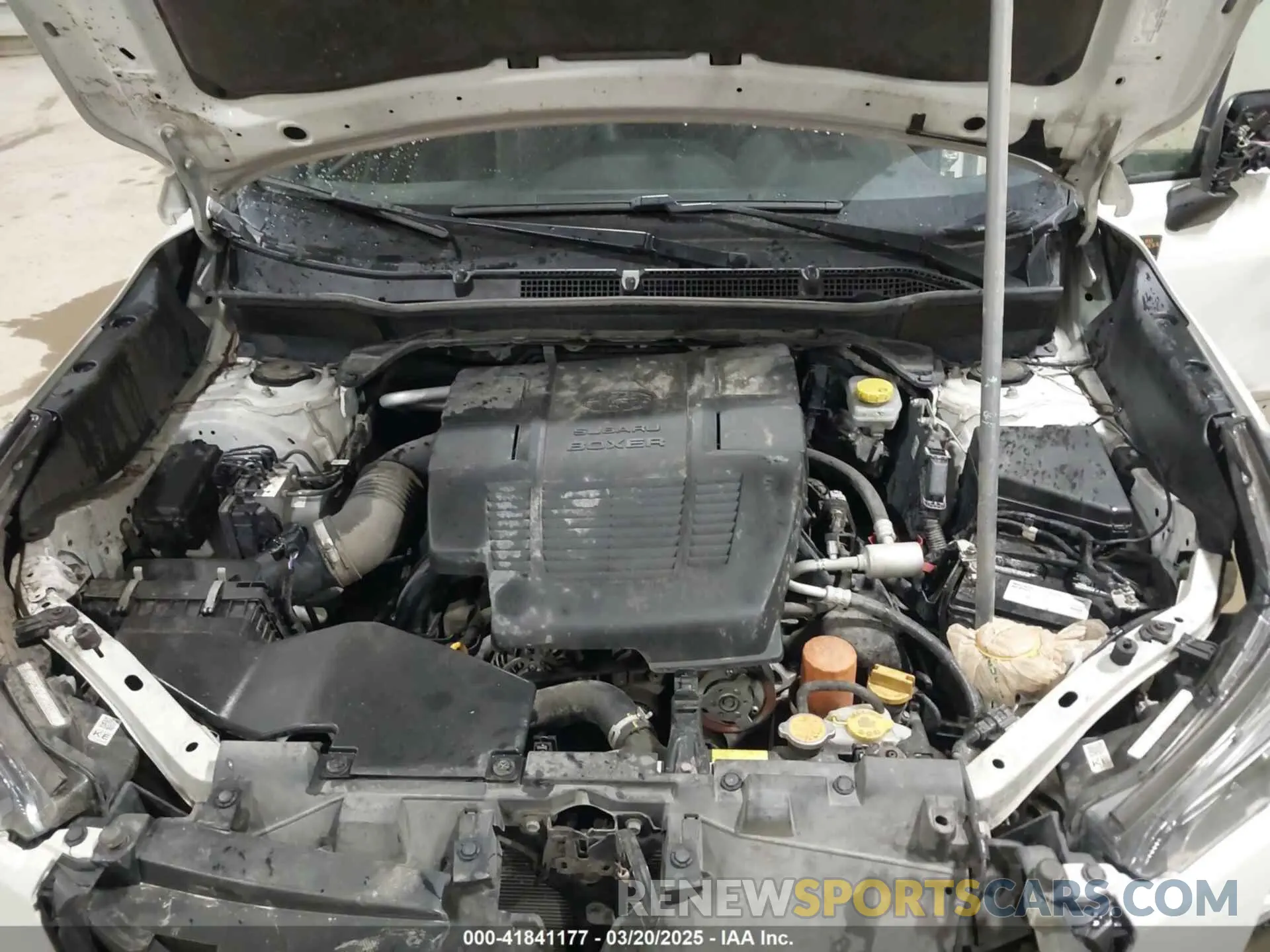 10 fotografías del automóvil dañado JF2SKAMC2PH470976 SUBARU FORESTER 2023