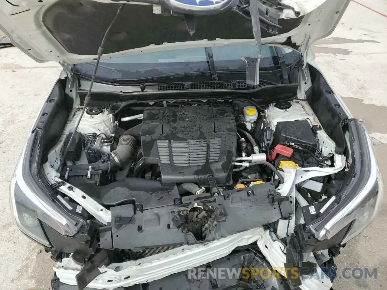 12 fotografías del automóvil dañado JF2SKAPC6PH540054 SUBARU FORESTER 2023