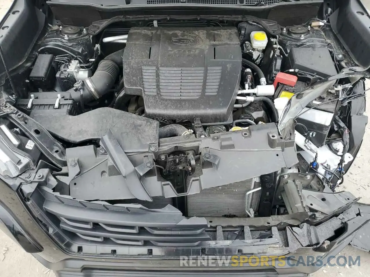12 fotografías del automóvil dañado JF2SKALC6RH483816 SUBARU FORESTER 2024