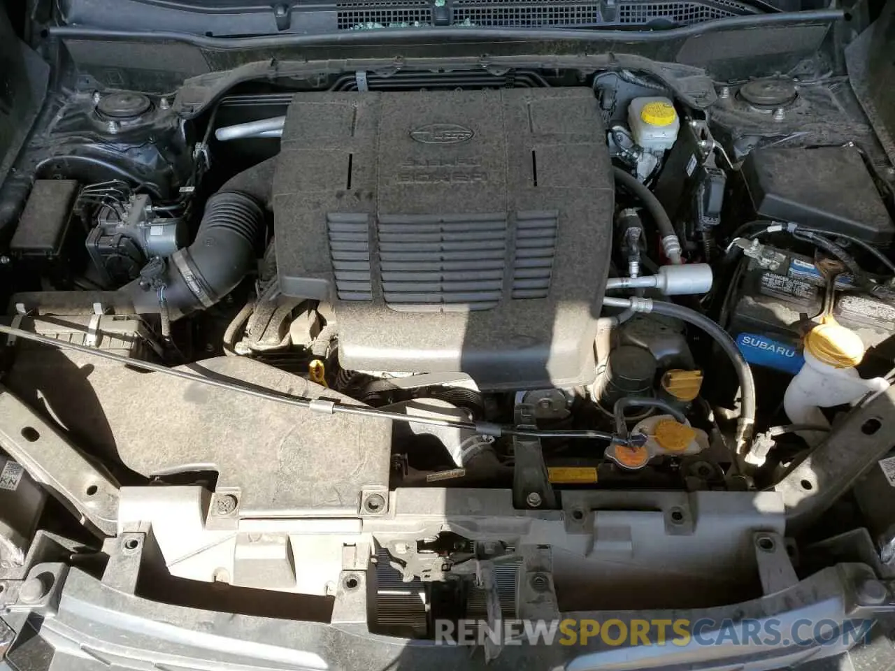 12 fotografías del automóvil dañado JF2SKAMC7RH498940 SUBARU FORESTER 2024